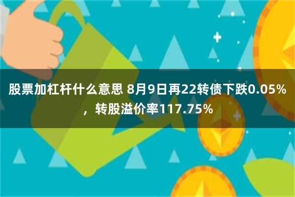 股票加杠杆什么意思 8月9日再22转债下跌0.05%，转股溢价率117.75%
