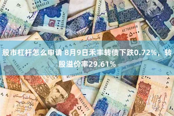 股市杠杆怎么申请 8月9日禾丰转债下跌0.72%，转股溢价率29.61%