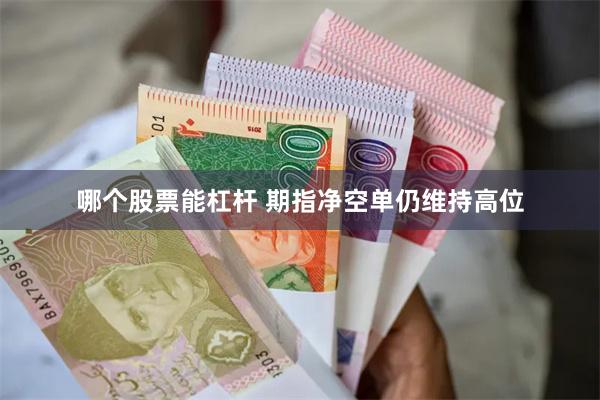 哪个股票能杠杆 期指净空单仍维持高位