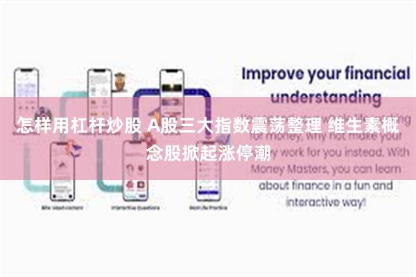 怎样用杠杆炒股 A股三大指数震荡整理 维生素概念股掀起涨停潮