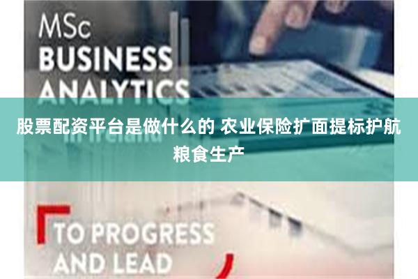 股票配资平台是做什么的 农业保险扩面提标护航粮食生产