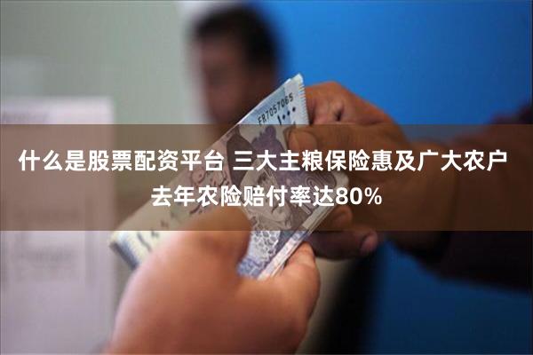 什么是股票配资平台 三大主粮保险惠及广大农户 去年农险赔付率达80%