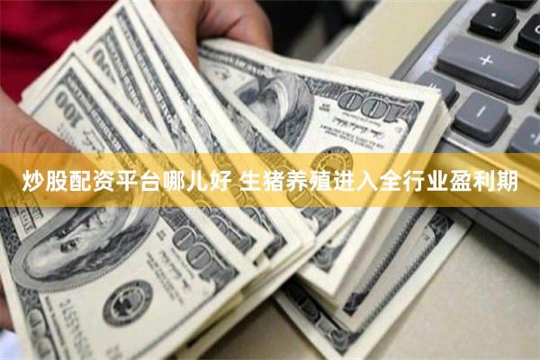 炒股配资平台哪儿好 生猪养殖进入全行业盈利期