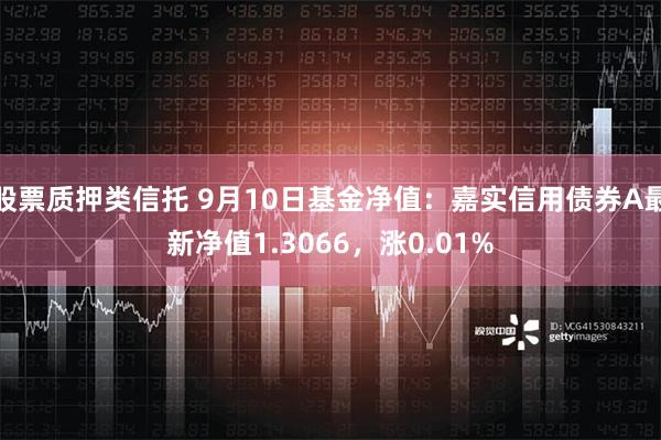 股票质押类信托 9月10日基金净值：嘉实信用债券A最新净值1.3066，涨0.01%