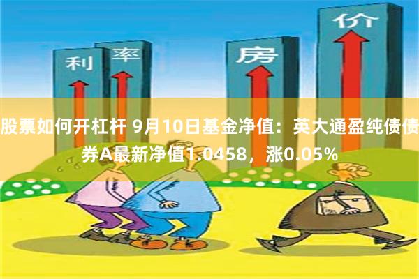 股票如何开杠杆 9月10日基金净值：英大通盈纯债债券A最新净值1.0458，涨0.05%