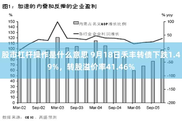 股市杠杆操作是什么意思 9月18日禾丰转债下跌1.49%，转股溢价率41.46%