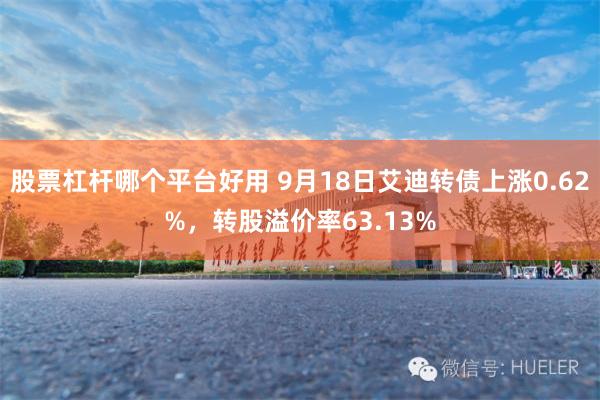 股票杠杆哪个平台好用 9月18日艾迪转债上涨0.62%，转股溢价率63.13%