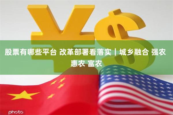股票有哪些平台 改革部署看落实｜城乡融合 强农 惠农 富农