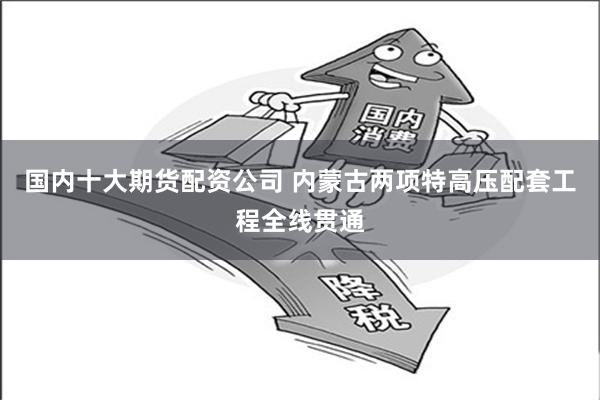国内十大期货配资公司 内蒙古两项特高压配套工程全线贯通