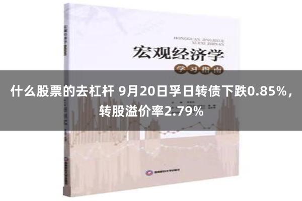 什么股票的去杠杆 9月20日孚日转债下跌0.85%，转股溢价率2.79%
