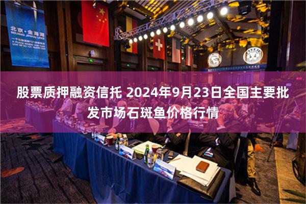 股票质押融资信托 2024年9月23日全国主要批发市场石斑鱼价格行情