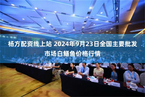 杨方配资线上站 2024年9月23日全国主要批发市场白鳝鱼价格行情