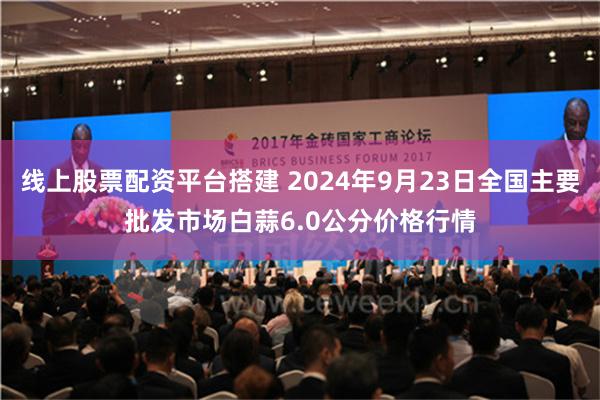 线上股票配资平台搭建 2024年9月23日全国主要批发市场白蒜6.0公分价格行情