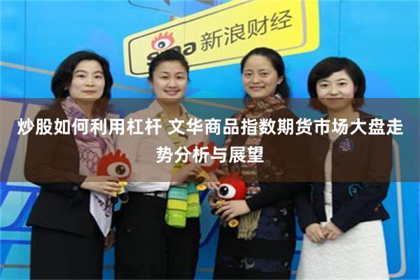炒股如何利用杠杆 文华商品指数期货市场大盘走势分析与展望