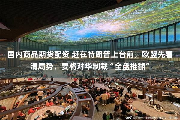 国内商品期货配资 赶在特朗普上台前，欧盟先看清局势，要将对华制裁“全盘推翻”