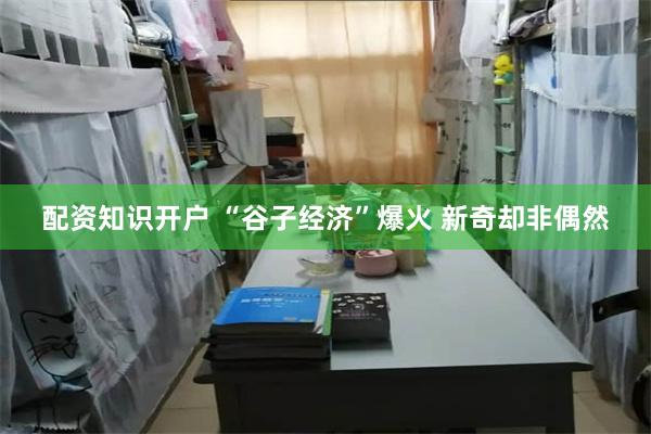 配资知识开户 “谷子经济”爆火 新奇却非偶然