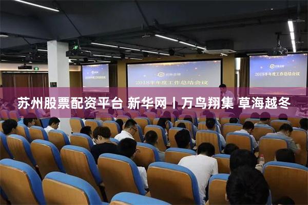 苏州股票配资平台 新华网丨万鸟翔集 草海越冬