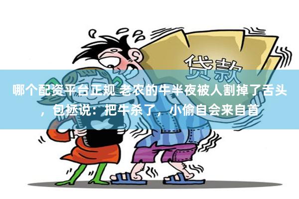哪个配资平台正规 老农的牛半夜被人割掉了舌头，包拯说：把牛杀了，小偷自会来自首