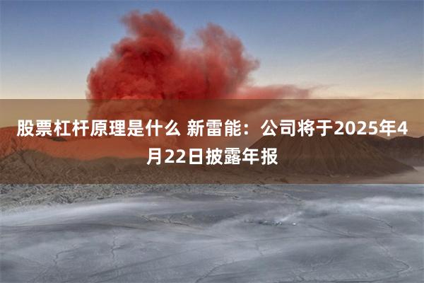 股票杠杆原理是什么 新雷能：公司将于2025年4月22日披露年报
