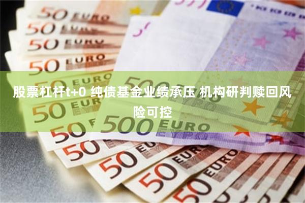 股票杠杆t+0 纯债基金业绩承压 机构研判赎回风险可控