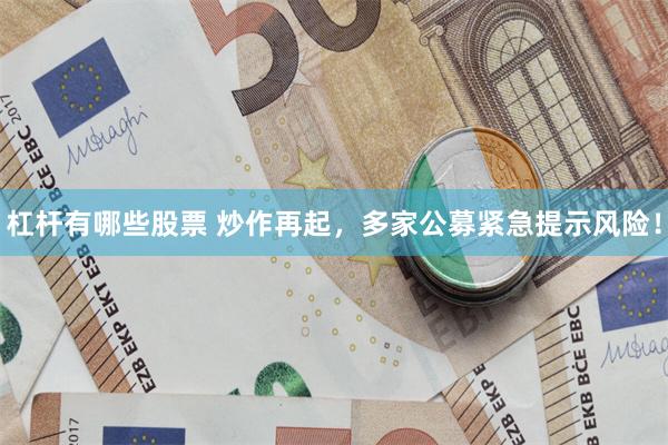 杠杆有哪些股票 炒作再起，多家公募紧急提示风险！