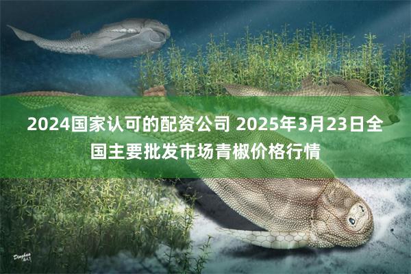 2024国家认可的配资公司 2025年3月23日全国主要批发市场青椒价格行情