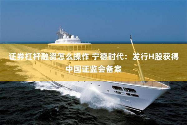 证券杠杆融资怎么操作 宁德时代：发行H股获得中国证监会备案