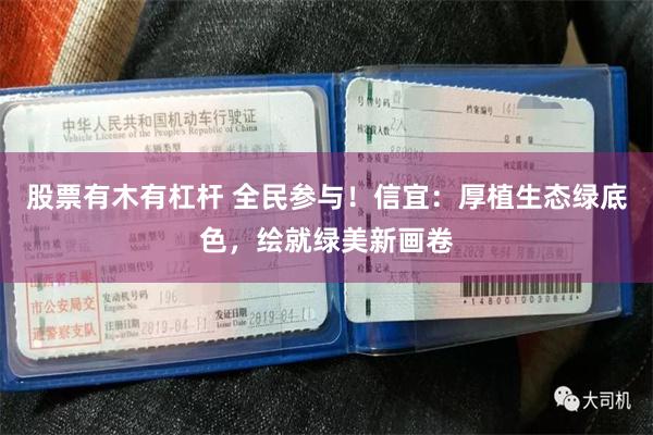 股票有木有杠杆 全民参与！信宜：厚植生态绿底色，绘就绿美新画卷