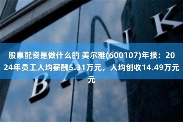 股票配资是做什么的 美尔雅(600107)年报：2024年员工人均薪酬5.31万元，人均创收14.49万元