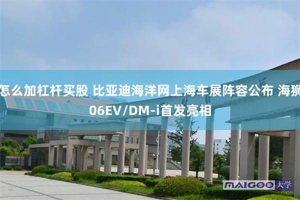 怎么加杠杆买股 比亚迪海洋网上海车展阵容公布 海狮06EV/DM-i首发亮相