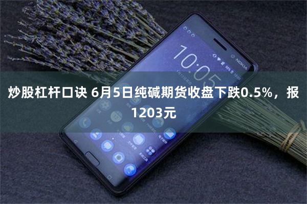 炒股杠杆口诀 6月5日纯碱期货收盘下跌0.5%，报1203元