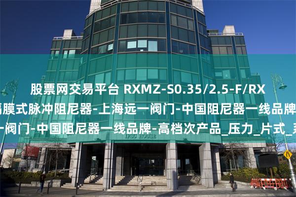 股票网交易平台 RXMZ-S0.35/2.5-F/RXMZ-L0.6/2.5-F不锈钢隔膜式脉冲阻尼器-上海远一阀门-中国阻尼器一线品牌-高档次产品_压力_片式_系统
