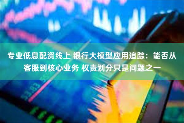 专业低息配资线上 银行大模型应用追踪：能否从客服到核心业务 权责划分只是问题之一