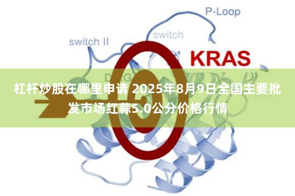 杠杆炒股在哪里申请 2025年8月9日全国主要批发市场红蒜5.0公分价格行情