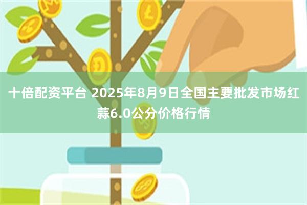十倍配资平台 2025年8月9日全国主要批发市场红蒜6.0公分价格行情