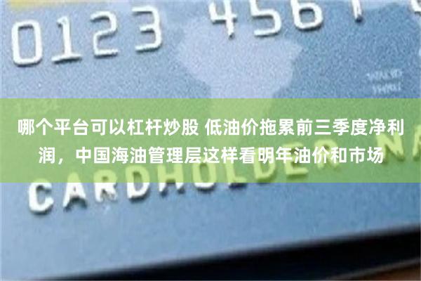 哪个平台可以杠杆炒股 低油价拖累前三季度净利润，中国海油管理层这样看明年油价和市场